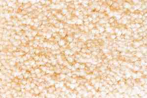 Ковролин AW Masquerade Gaudia 38 фото  | FLOORDEALER